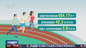 bwin必赢 篮乒足球类器材有